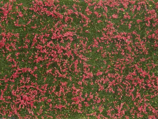 Noch 7257 All Scale Ground Cover Foliage Pad -- Meadow Red 4-3/4 x 7-1/16"