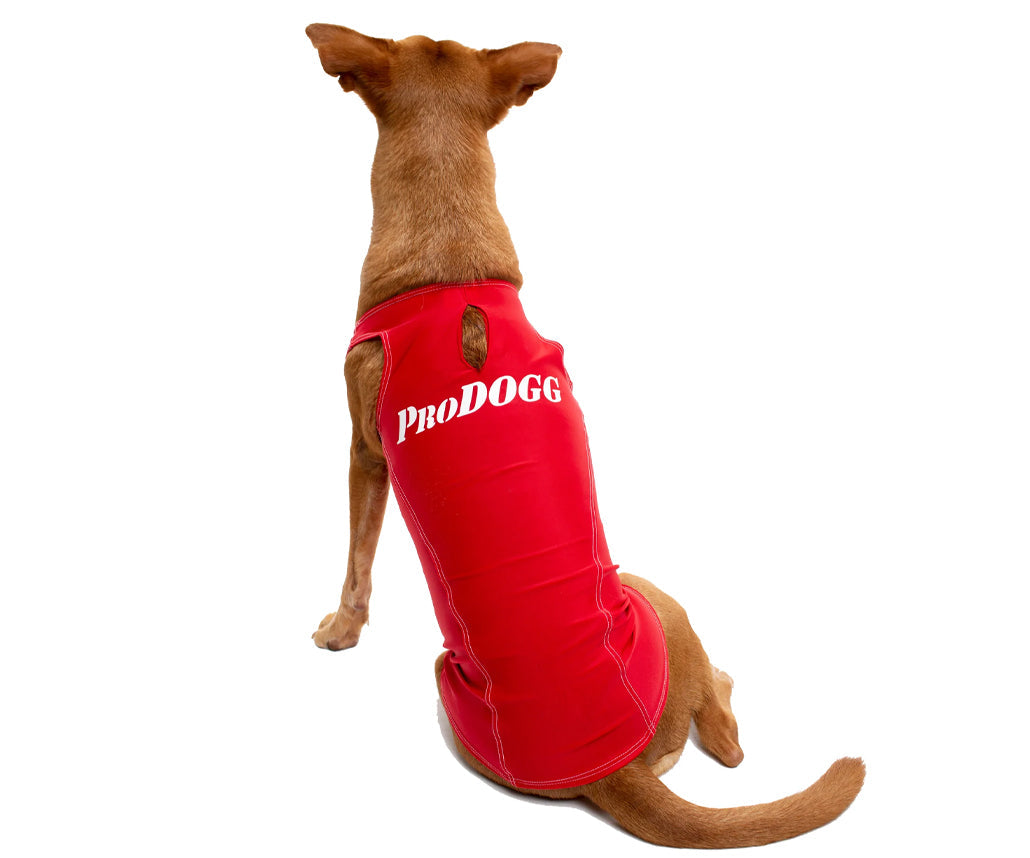 PRODOGG™ Anti-Anxiety Compression Shirt - Large to 2XL 159101B by InstantFigure INC