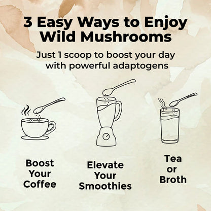 Wholesale: Master Shrooms Five Mushrooms Blend - Adaptogens + Prebiotic Powerhouse by Wild Foods