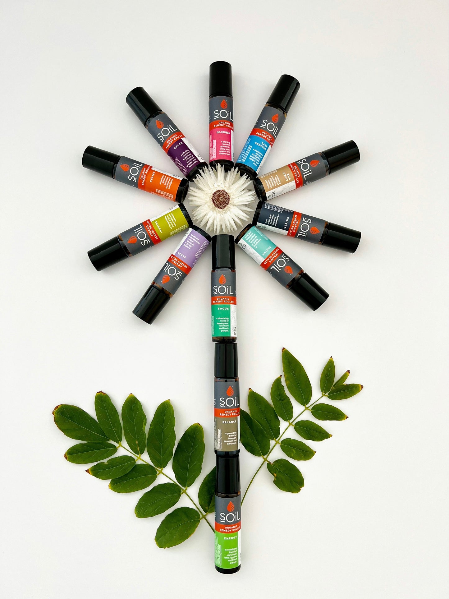 Focus - Organic Remedy Roller 20ml by SOiL Organic Aromatherapy and Skincare