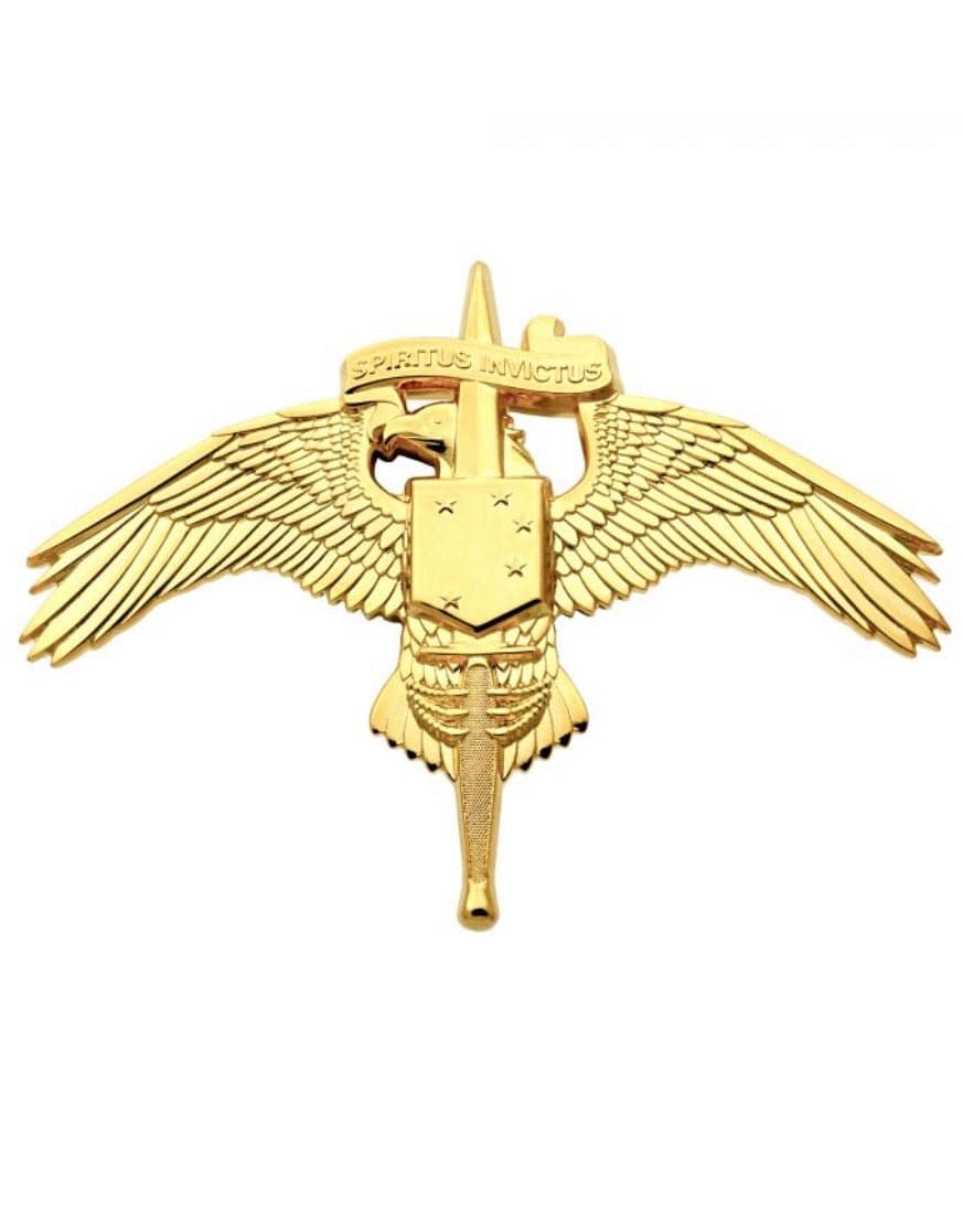 U.S. Marine Corps MARSOC Badge Marine Forces Special Operations Command Full size Brite