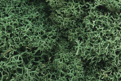 Woodland Scenics L162 N/HO Lichen Light Green 1.5 Quarts Train Scenery