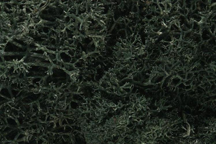 Woodland Scenics L164 N/HO Lichen Dark Green 1.5 Quarts Train Scenery