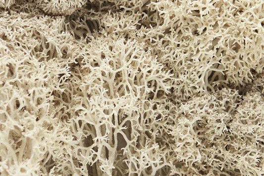 Woodland Scenics L166 N/HO Lichen Natural 1.5 Quarts Train Scenery
