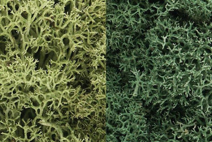 Woodland Scenics L167 N/HO Lichen Light Green Mix 3 Quarts Train Scenery