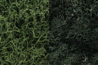 Woodland Scenics L168 N/HO Lichen DarkGreen Mix 3 Quarts Train Scenery