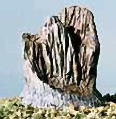 Woodland Scenics S32 N/HO Broken Tree Stumps (14) Train Scenery