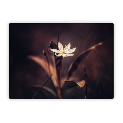 Delicate Bloom - Microsoft Surface Laptop Skin