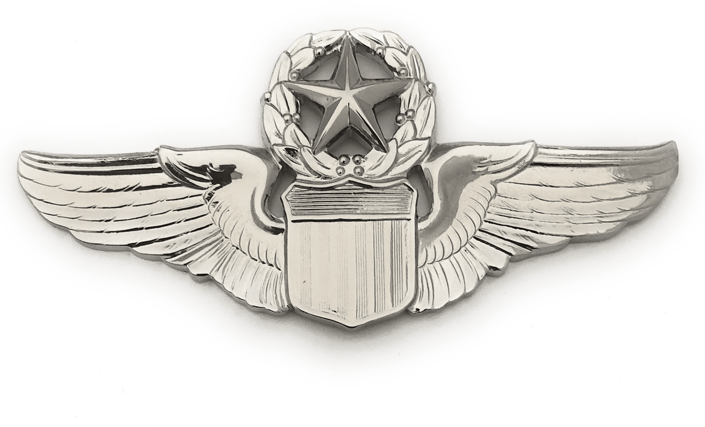 Air Force Command Pilot LG