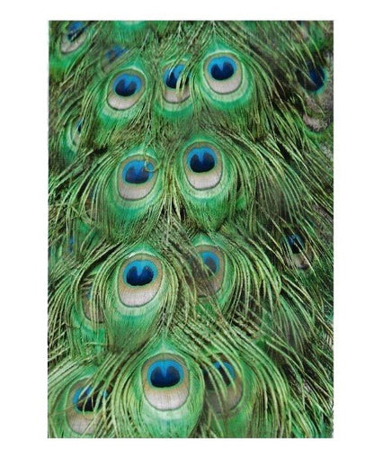 Peacock Feathers Green Poly Mailers Size 10x13 Shipping Bags
