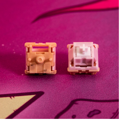 Salmon Tactile Switch