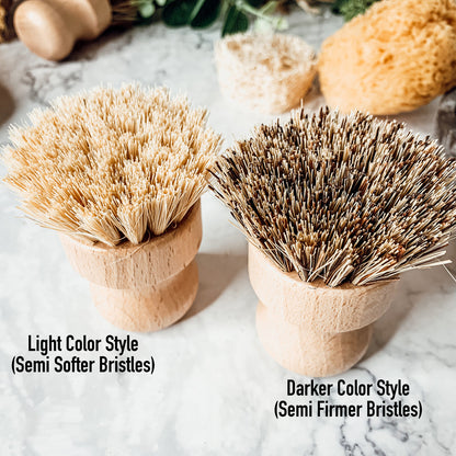 Natural Sisal Brush by Gia Roma