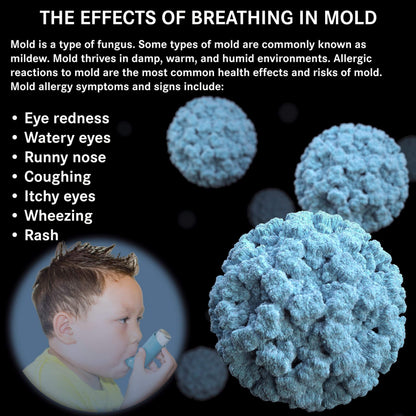 DWD2 Clean Air® Foaming Coil Cleaner Home & Commercial self-rinsing by The DWD2 System, Inc.