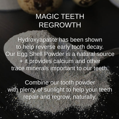 Shwally Magical Hydroxyapatite Cattle Bone & Egg Shell Tooth Powder by Shwally
