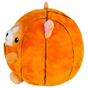 Squishable Corgi in Basketball (Undercover)