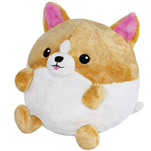 Squishable Corgi in Octopus (Undercover)