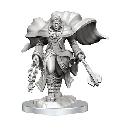 D&D: Nolzur's Marvelous Miniatures - Aasimar Cleric Male
